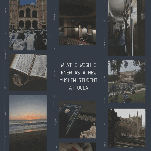 What I Wish I Knew as a New Muslim Student at UCLA thumbnail